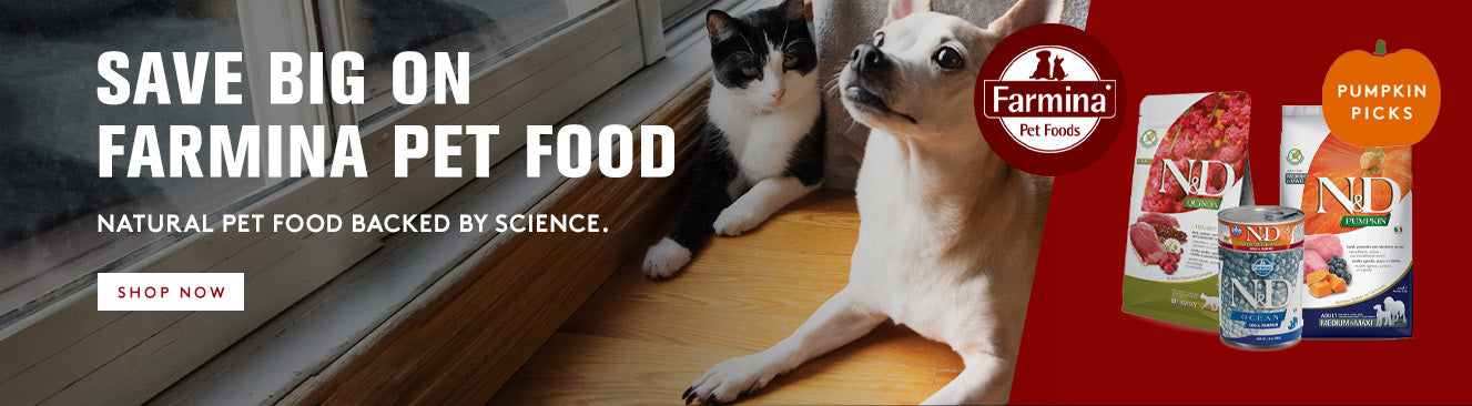 Advertisement for Farmina pet food to save big featuring a dog and cat on a wooden floor with product packaging.