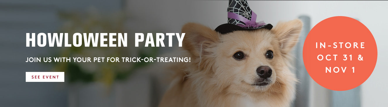 Dog wearing a Halloween costume with text about a Halloween party for pets in-store on October 31st and November 1st.