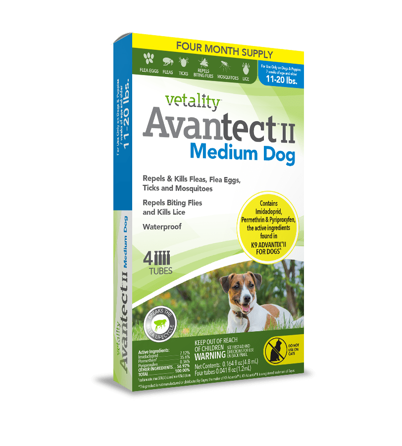 Ticks in dogs medicine hot sale