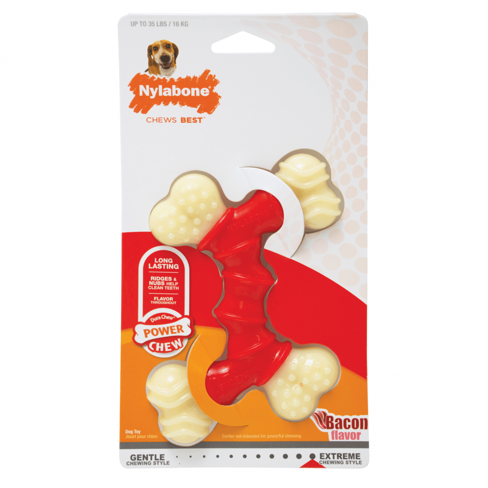 Nylabone bacon flavor sale