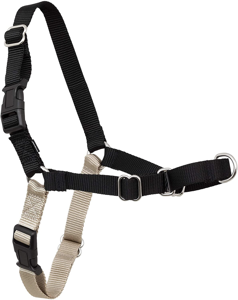 PetSafe Easy Walk Black Silver Dog Harness