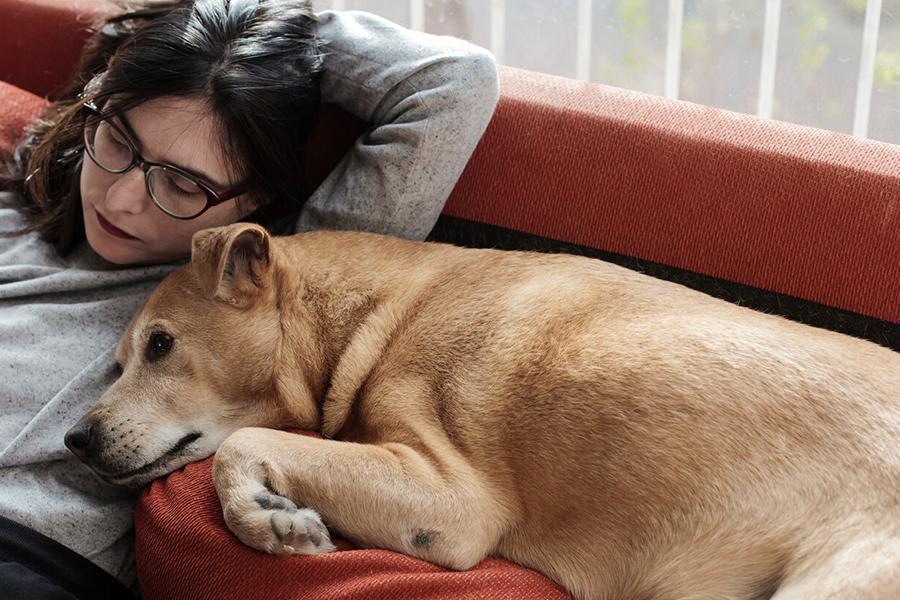 THEY SAY IT’S “THE MOST WONDERFUL TIME OF THE YEAR”, BUT THE HOLIDAYS CAN BE HARD. SPREAD JOY BY SHARING YOUR PET.