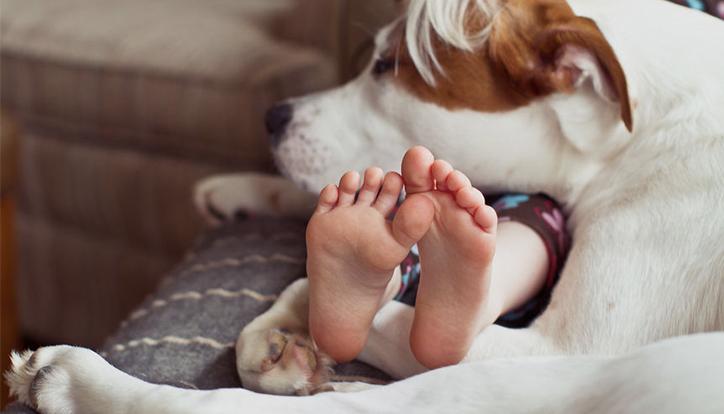 There’s a reason we have service dogs instead of service hamsters.