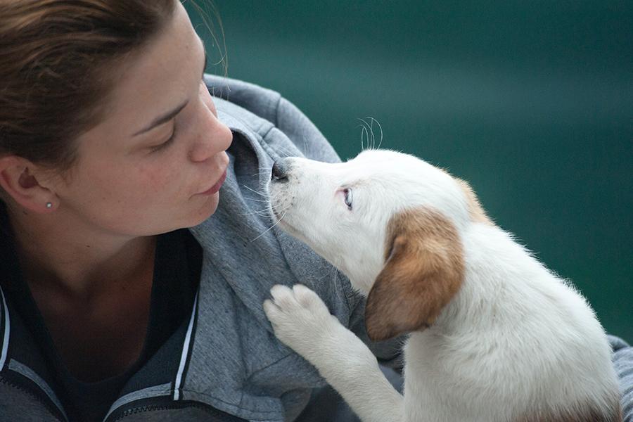 JUST A PET? THINK AGAIN.