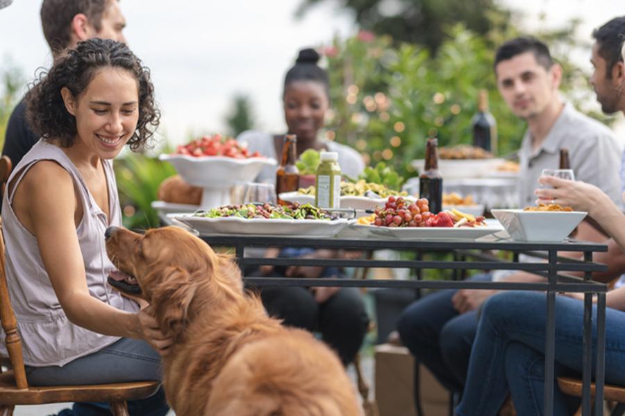 HELP YOUR CREATURE OF HABIT COME ALONG FOR THE RIDE WITH THESE KEY PET ROUTINES.