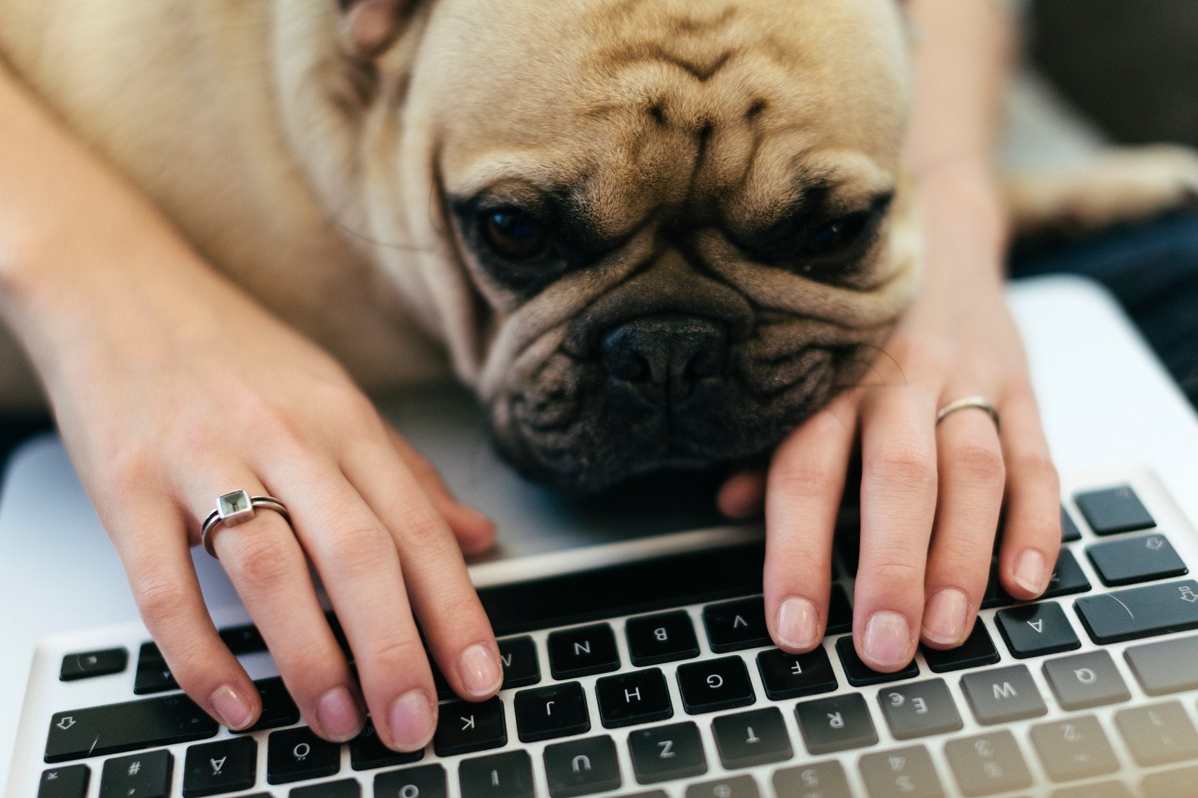 SORRY, THE LAPTOP IS NOT A CHIN REST OR NAP SPOT.
