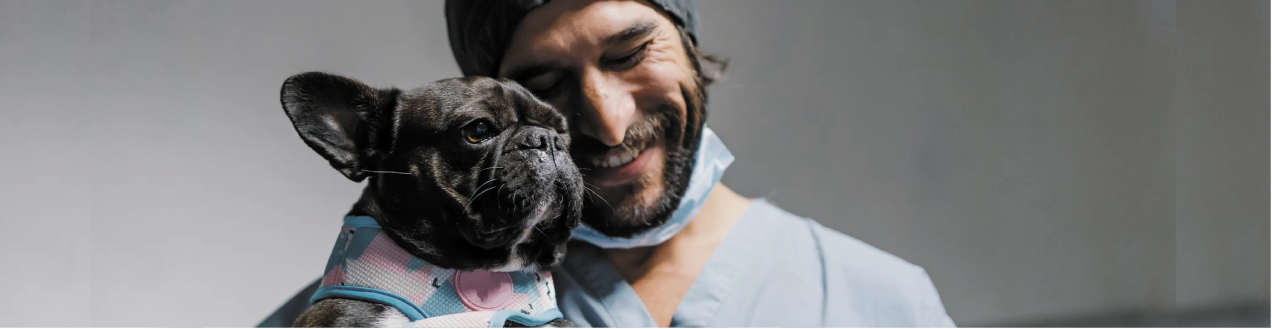 Frequently Asked Questions about Pet Vaccinations