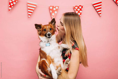 Valentine’s Day Treats and Recipes for Pets by Chuck & Don's