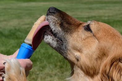 LOOKS LIKE WE HAVE THIS SUMMER HEAT PROBLEM LICKED.