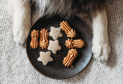 TREAT YOUR BEST FRIEND TO A HOLIDAY PARTY THAT’S JUST FOR THEM.