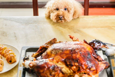 UNLIKE STUFFING AND CASSEROLES,  HERE ARE SOME THANKSGIVING DISHES THAT ARE GREAT FOR PET STOMACHS.