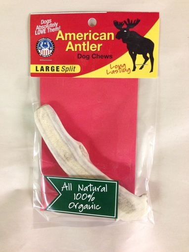 American Antler Split Antler Chew