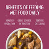 Weruva Senior Flaked Grain-Free Tuna & Salmon Formula in Gravy Canned Cat Food
