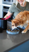 Messy Mutts Interactive Slow Feeder Dog Bowl in Blue