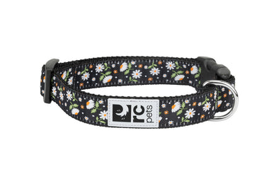 RC Pets Clip Collar for Dogs in Daisies Pattern