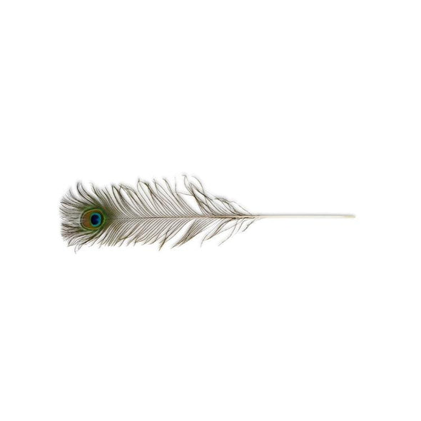Vee Enterprises Natural Peacock Feather Cat Toy (Assorted Colors)