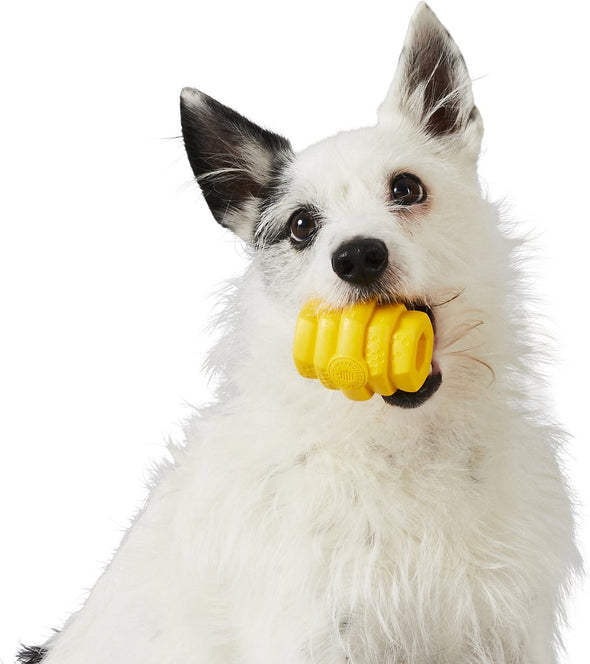 Project Hive Pet Company Yellow Dog Chew Toy