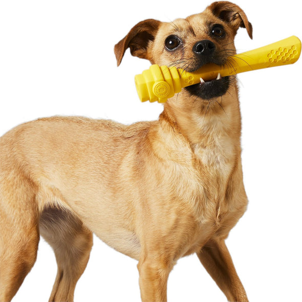 Project Hive Pet Company Yellow Fetch Stick Dog Toy