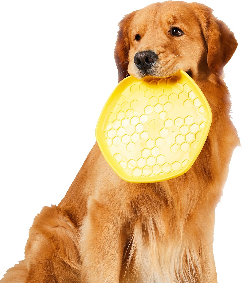 Dog clearance toy companies