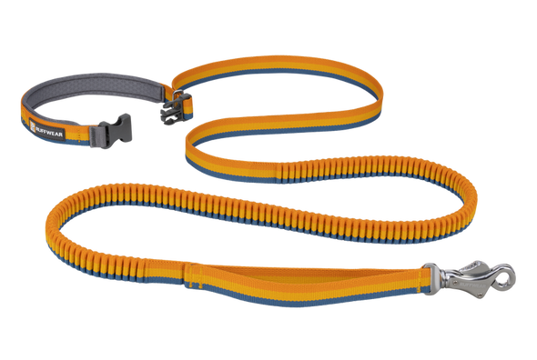 Ruffwear Roamer Bungee Dog Leash in Yellow Snow