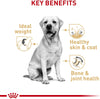 Royal Canin Adult Labrador Retriever Dry Dog Food