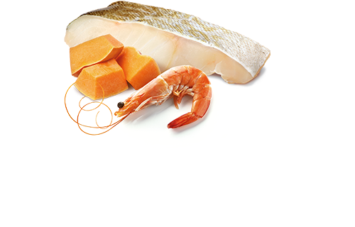 Farmina N&D Ocean Salmon, Codfish and Shrimp Grain Free Canned Cat Food