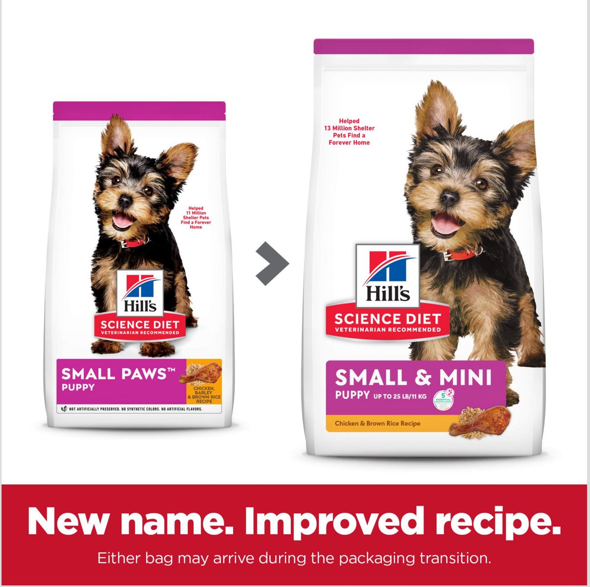Science Diet Puppy Food Small Bites Hill's Science Diet Puppy