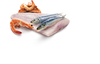 Farmina N&D Ocean Sea Bass, Sardine and Shrimp Grain Free Canned Cat Food