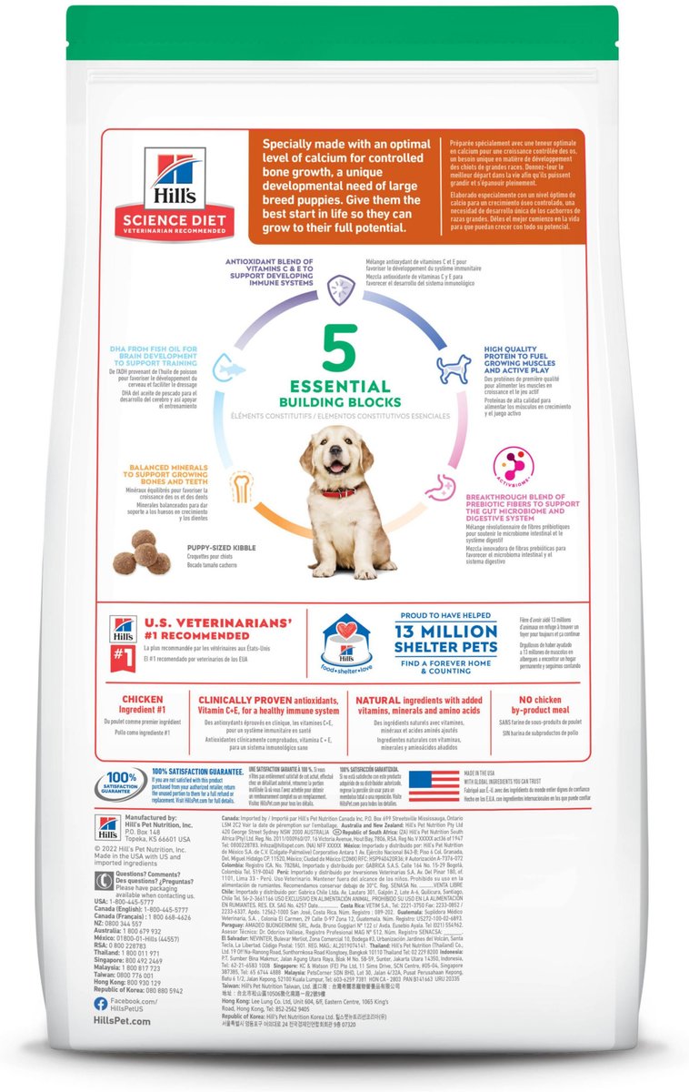 Hill's Science Diet Puppy Large Breed Chicken Recipe Dry Dog Food