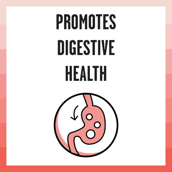 Bixbi Rawbble Freeze-Dried Raw Coated Grain-Free  Salmon Recipe Dry Cat Food