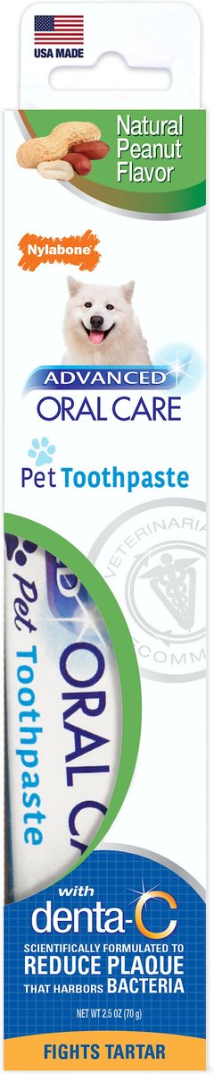 Nylabone Advanced Oral Care Natural Peanut Flavor Dog Toothpaste