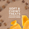 Cloud Star Tricky Trainers Soft & Chewy with Cheddar Dog Treats