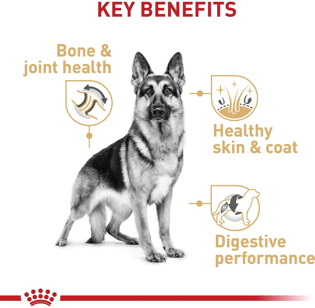 Royal Canin Adult German Shepherd Dry Dog Food - Main Image