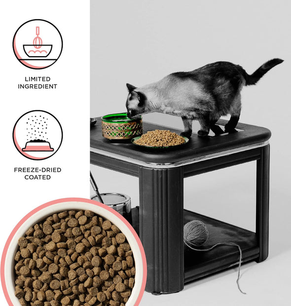 Bixbi Rawbble Freeze-Dried Raw Coated Grain-Free  Salmon Recipe Dry Cat Food