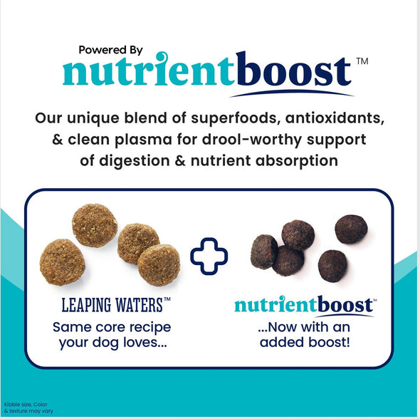 Solid Gold Nutrientboost Leaping Waters Adult Cold Water Salmon and Vegetable Recipe Dry Dog Food
