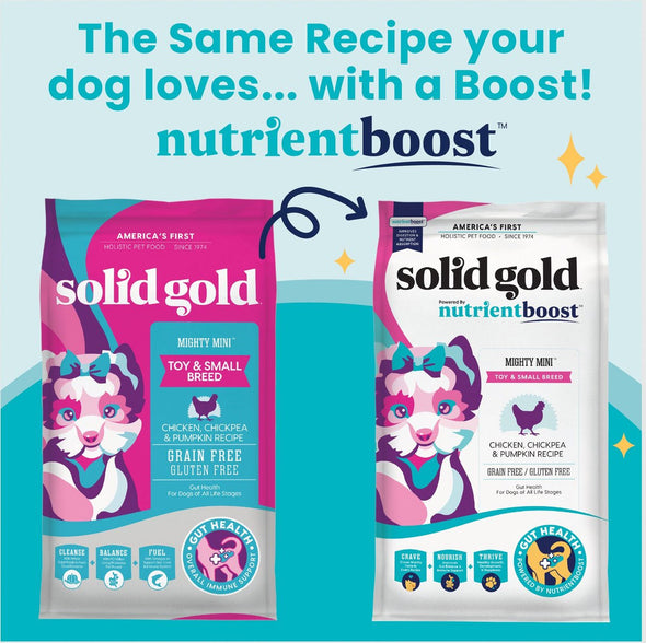 Solid Gold NutrientBoost Mighty Mini Chicken Recipe Dry Dog Food