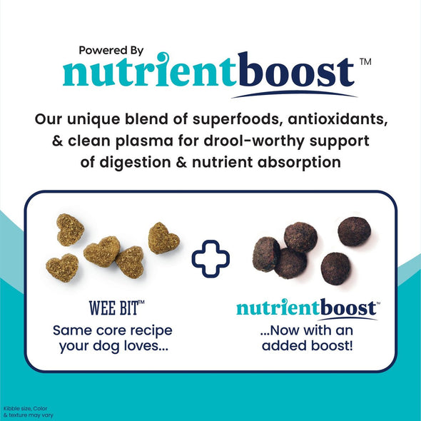 Solid Gold Nutrientboost Wee Bit Bison Recipe Small Breed Dry Dog Food
