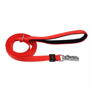 Coastal Pet Products Inspire Dog Leash in Red