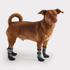 GF Pet All Terrain Boots - Charcoal Grey for Dogs