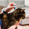 Wondercide Peppermint Flea and Tick Spot on For Cats