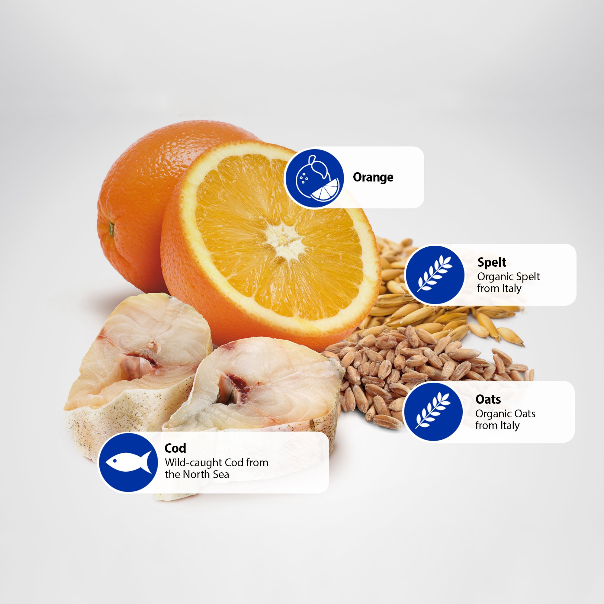 Farmina N&D Ocean Ancestral Grain Cod, Spelt, Oats Orange Medium M