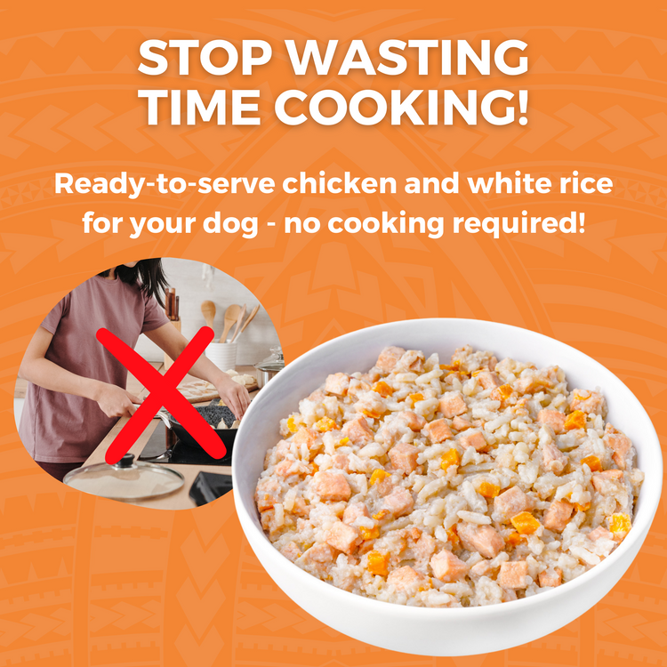 Recipe Feeding Dog Chicken And Rice Boiled Chicken And Rice Can I