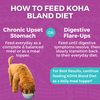 KOHA Limited Ingredient Bland Diet Beef & White Rice Recipe Wet Dog Food Pouch