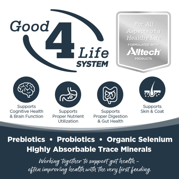 NutriSource Harvest Selects Northern Feast Canned Dog Food