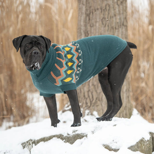 GF Pet Heritage Sweater - Teal for Dogs