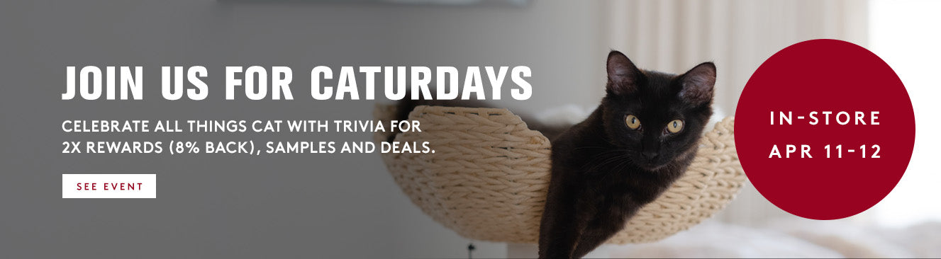 Black cat on a cat tree with promotional text for Caturday event.