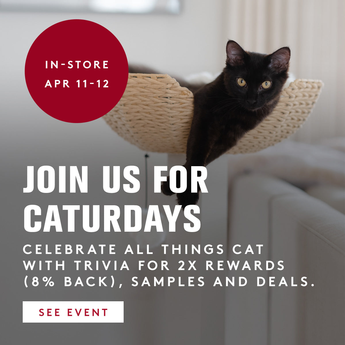 Black cat on a cat tree with promotional text for Caturday event.