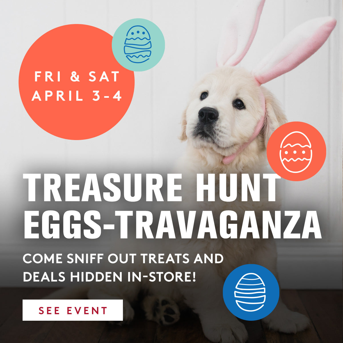 Dog wearing bunny ears with Easter-themed text and graphics on a white background