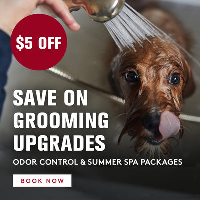 Chuck & Don's Pet Food & Supplies