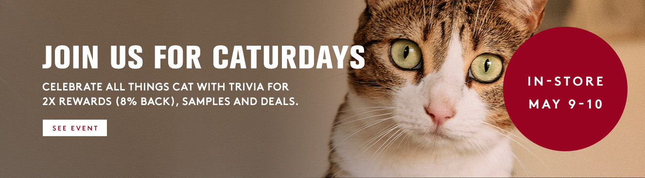 Cat looking at the camera with promotional text for Caturday event.